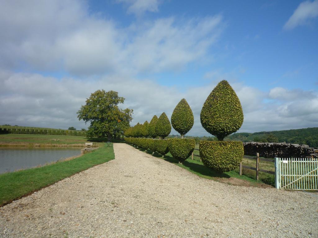 Bed and Breakfast Manoir De Malfarat Charlieu Exterior foto